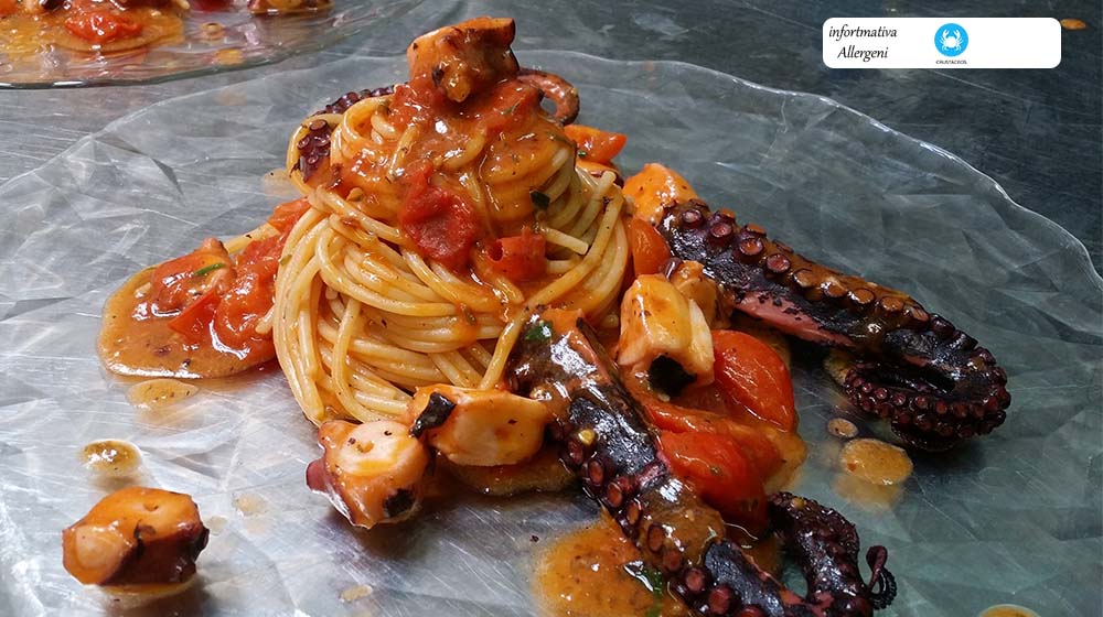Spaghettone al Polpo