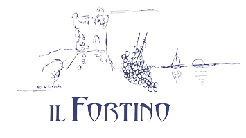 logo fortino